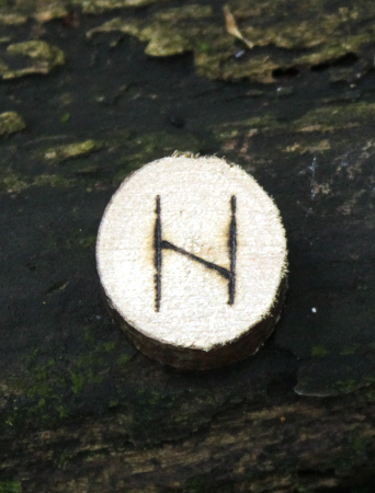 17
