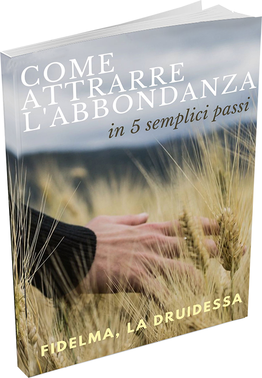 EBOOK CORRETTO 2 copia 2 (1)
