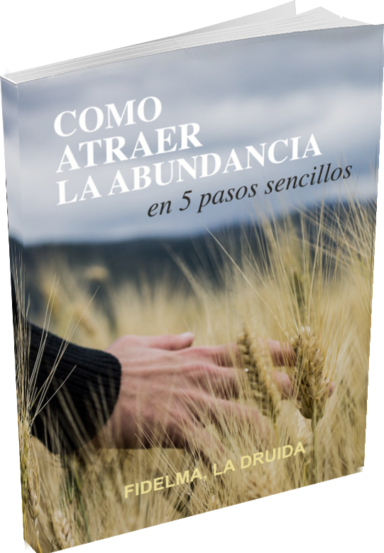 EBOOK CORRETTO ESP (1)