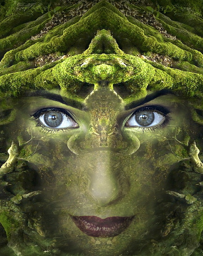 prova druida 2
